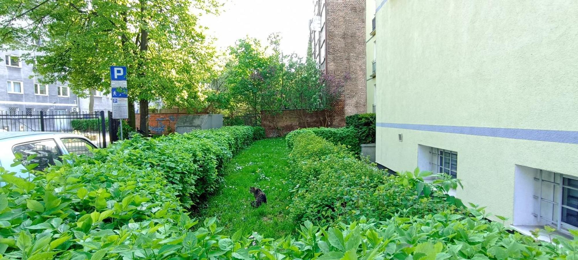 Katarzynka Gdansk Stare Miasto Dış mekan fotoğraf